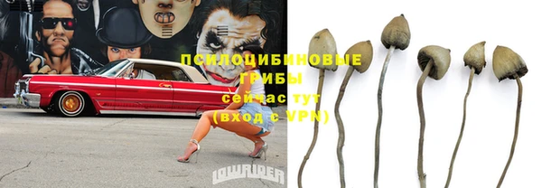 дмт Алзамай