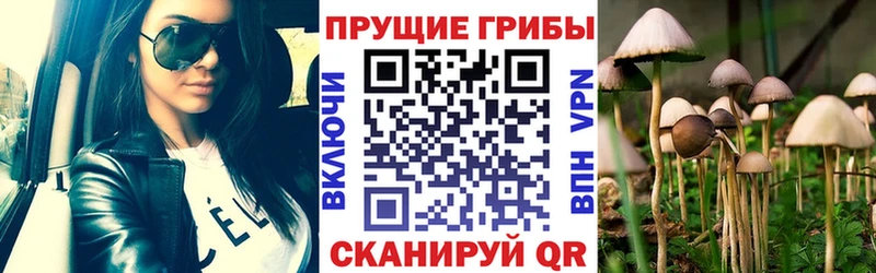 Галлюциногенные грибы Cubensis  Уяр 